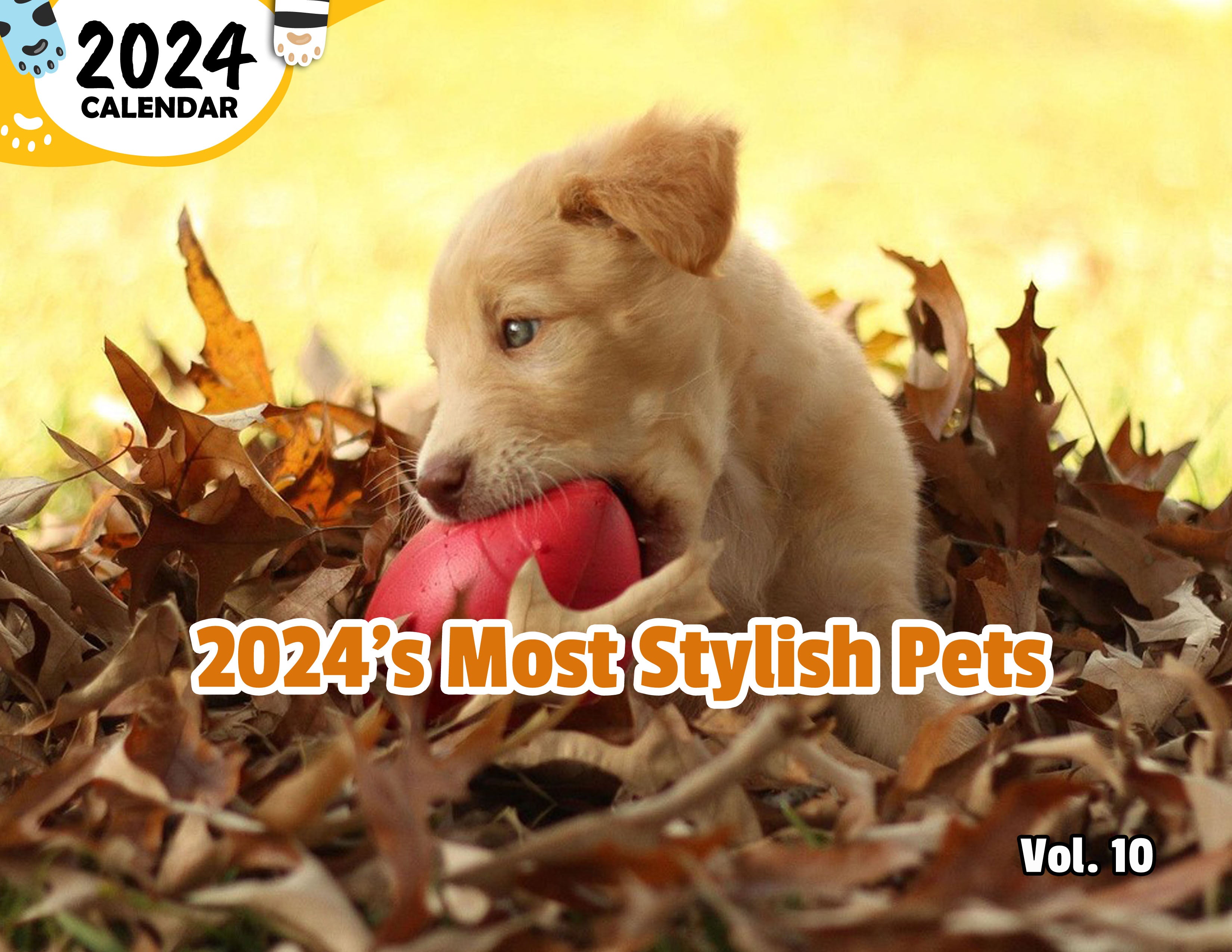 2024's Most Stylish Pets Volume Ten: 2024 Wall Calendar (Published)