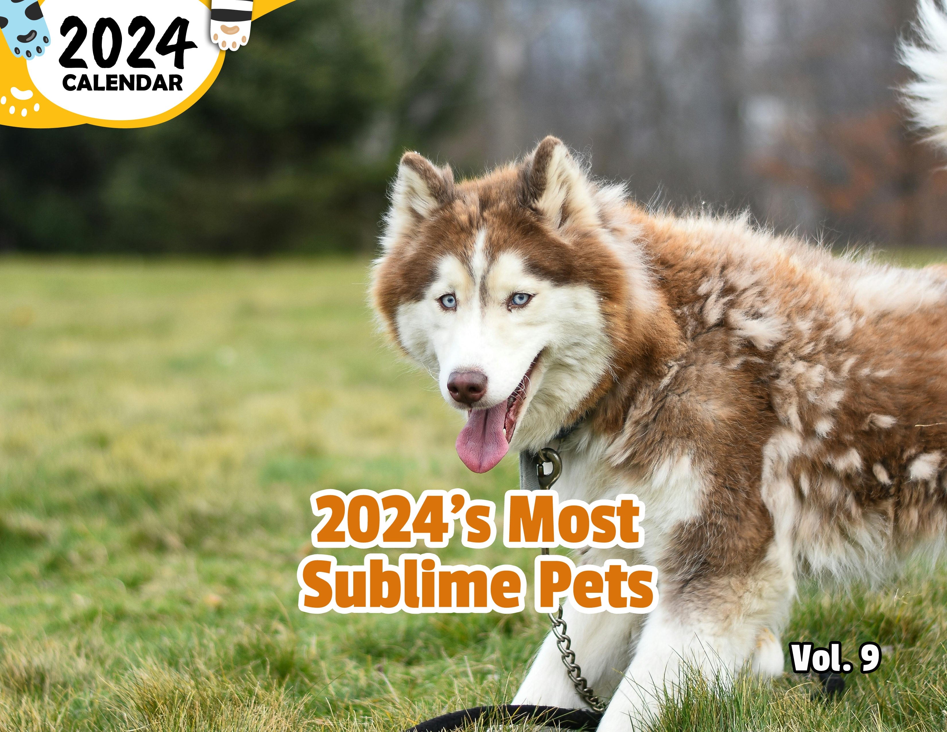 2024's Most Sublime Pets Volume Nine: 2024 Wall Calendar (Published)