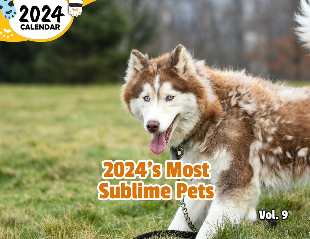2024's Most Sublime Pets Volume Nine: 2024 Wall Calendar (Published)