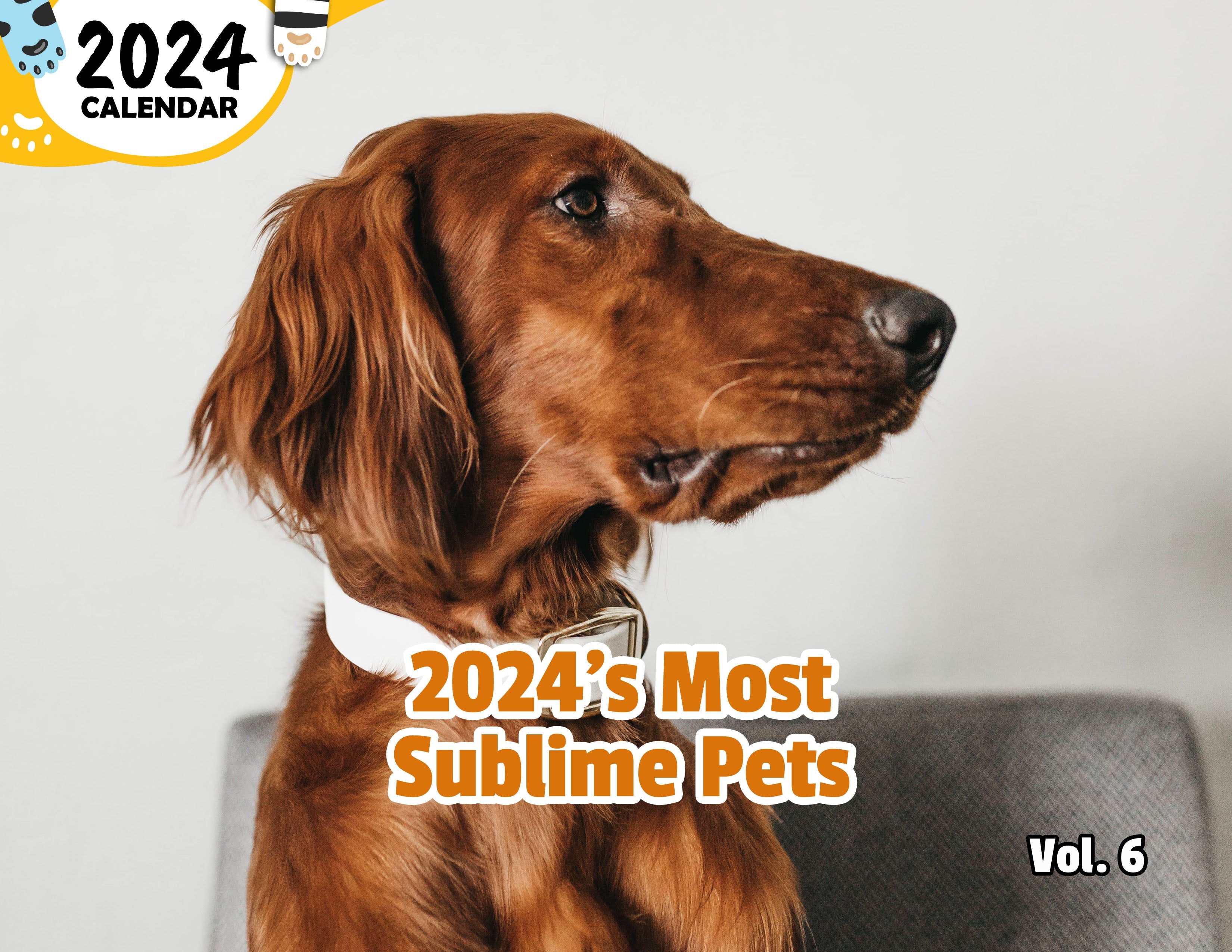 2024's Most Sublime Pets Volume Six: 2024 Wall Calendar (Published)