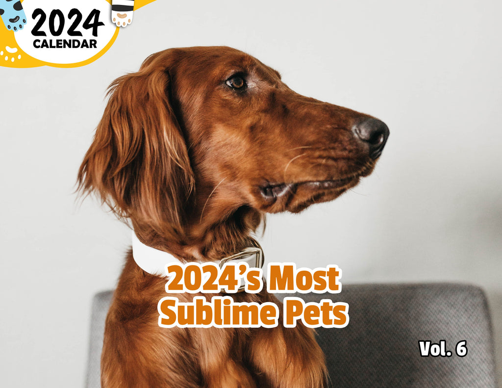 2024's Most Sublime Pets Volume Six: 2024 Wall Calendar (Published)