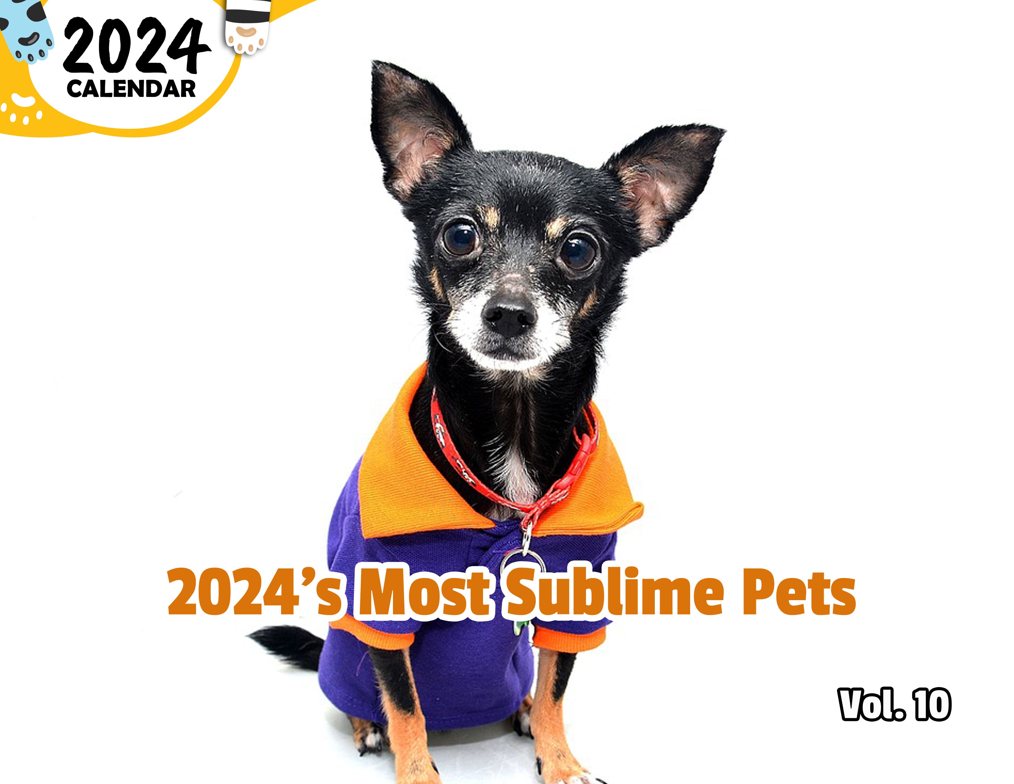 2024's Most Sublime Pets Volume Ten: 2024 Wall Calendar (Published)