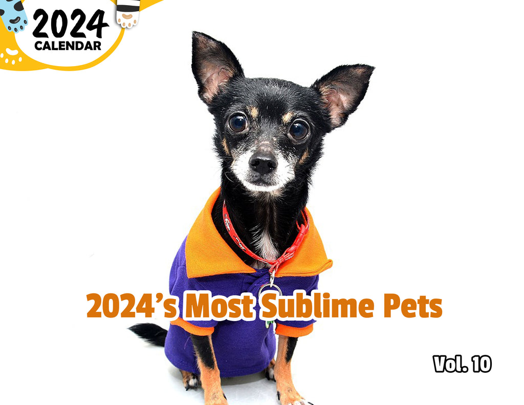 2024's Most Sublime Pets Volume Ten: 2024 Wall Calendar (Published)