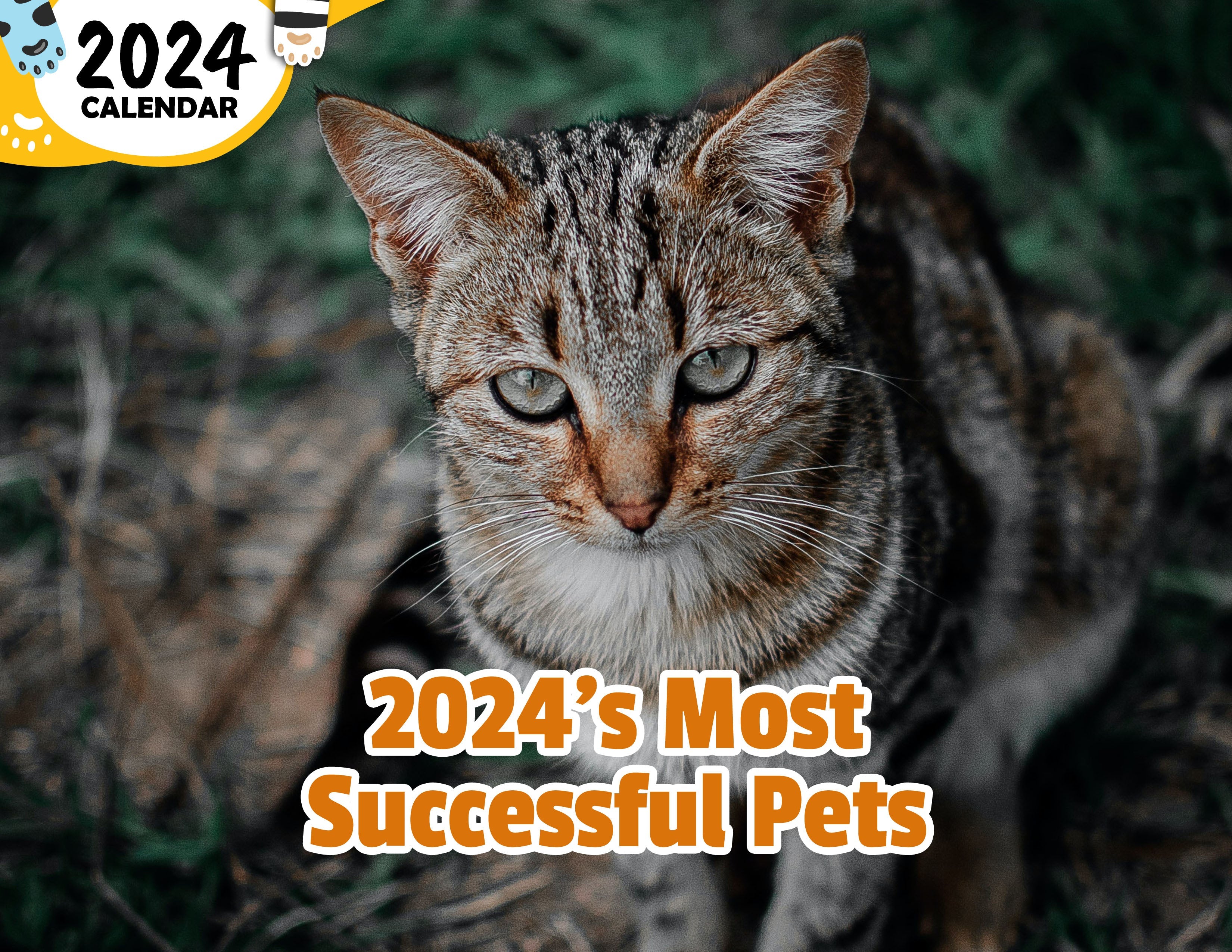10 Best Selling Cat 7's for 2024 - The Jerusalem Post