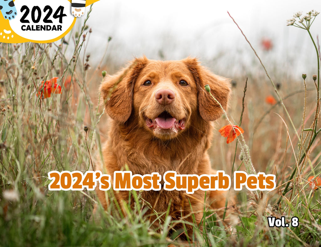 2024's Most Superb Pets Volume Eight: 2024 Wall Calendar (Published)