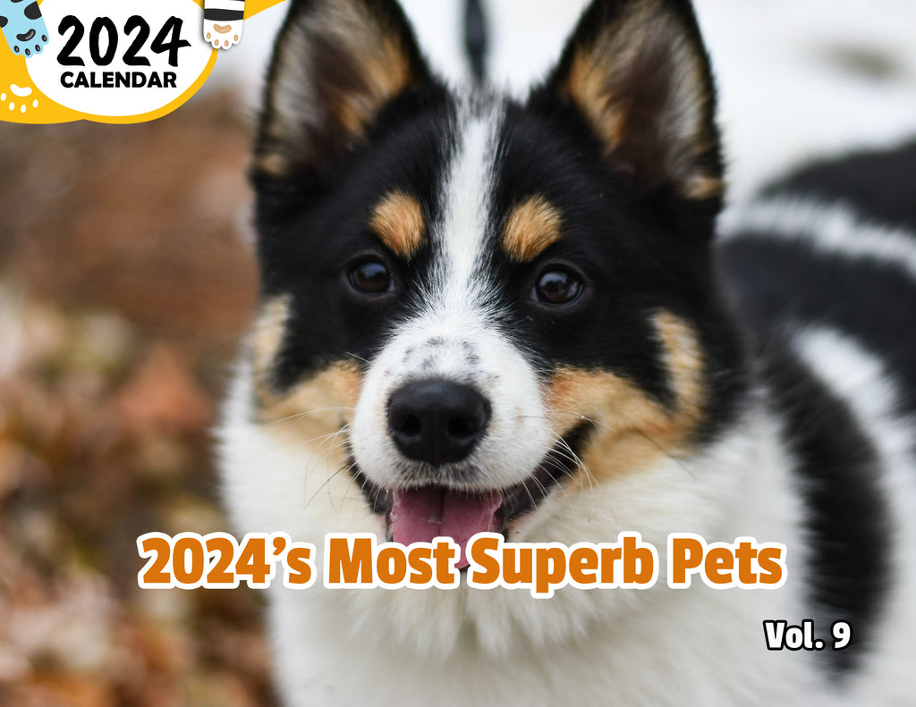 2024's Most Superb Pets Volume Nine: 2024 Wall Calendar (Published)