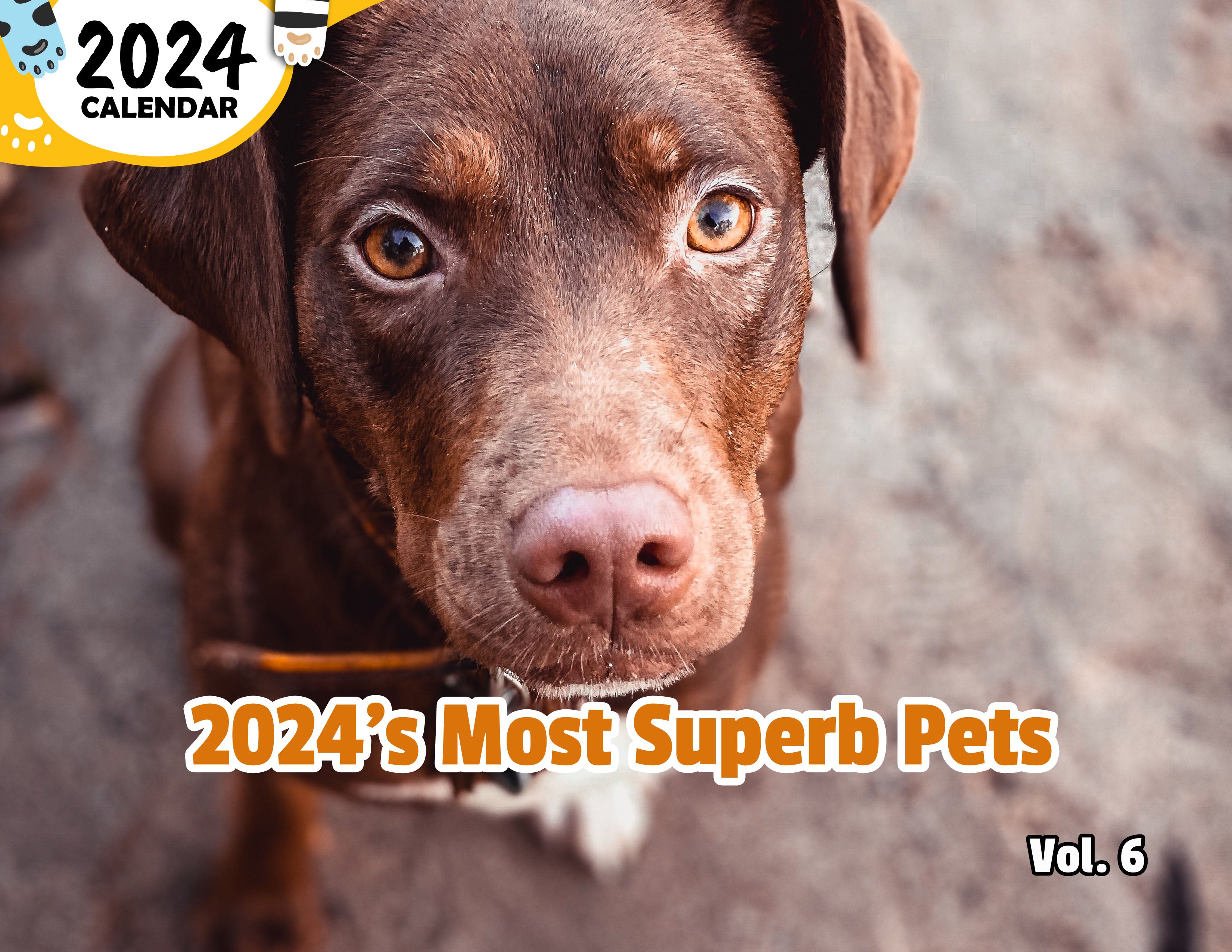 2024's Most Superb Pets Volume Six: 2024 Wall Calendar (Published)