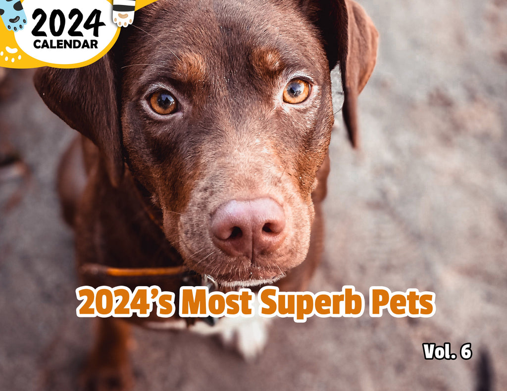 2024's Most Superb Pets Volume Six: 2024 Wall Calendar (Published)