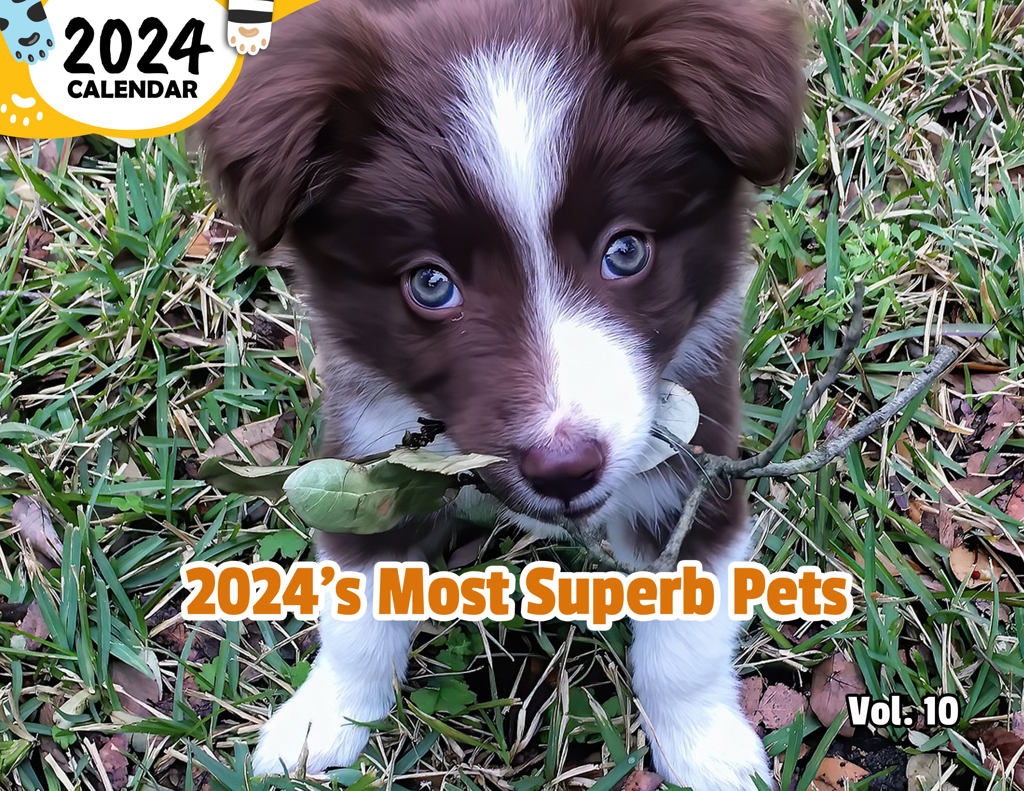 2024's Most Superb Pets Volume Ten: 2024 Wall Calendar (Published)
