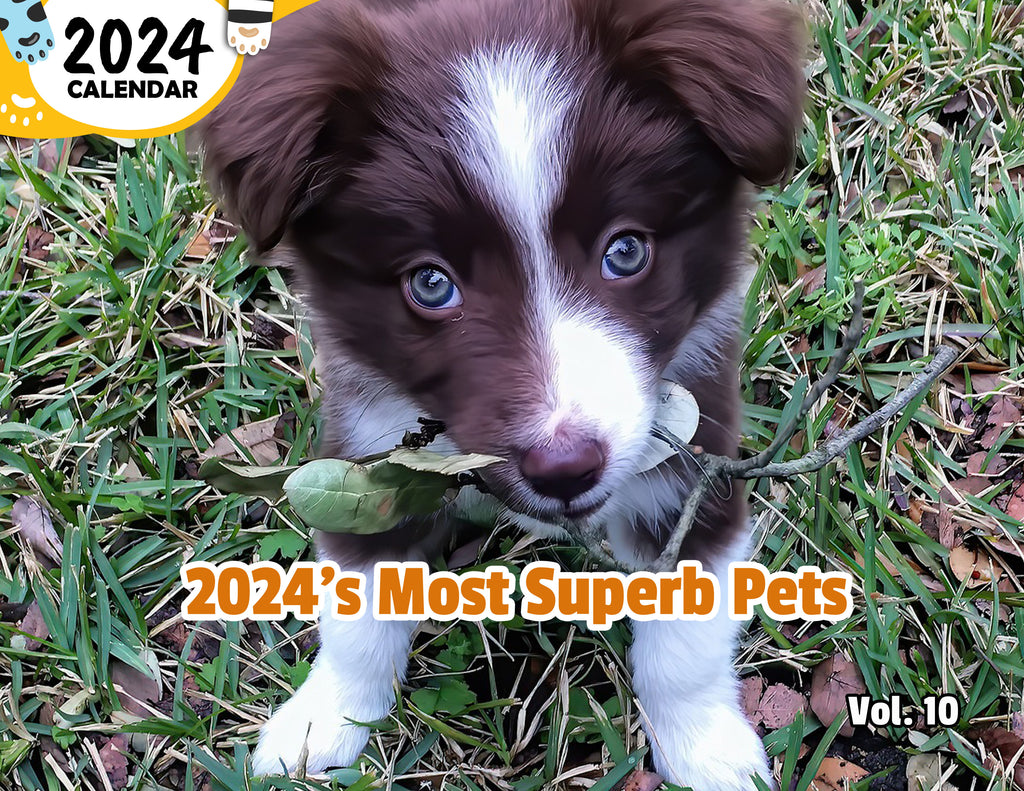 2024's Most Superb Pets Volume Ten: 2024 Wall Calendar (Published)