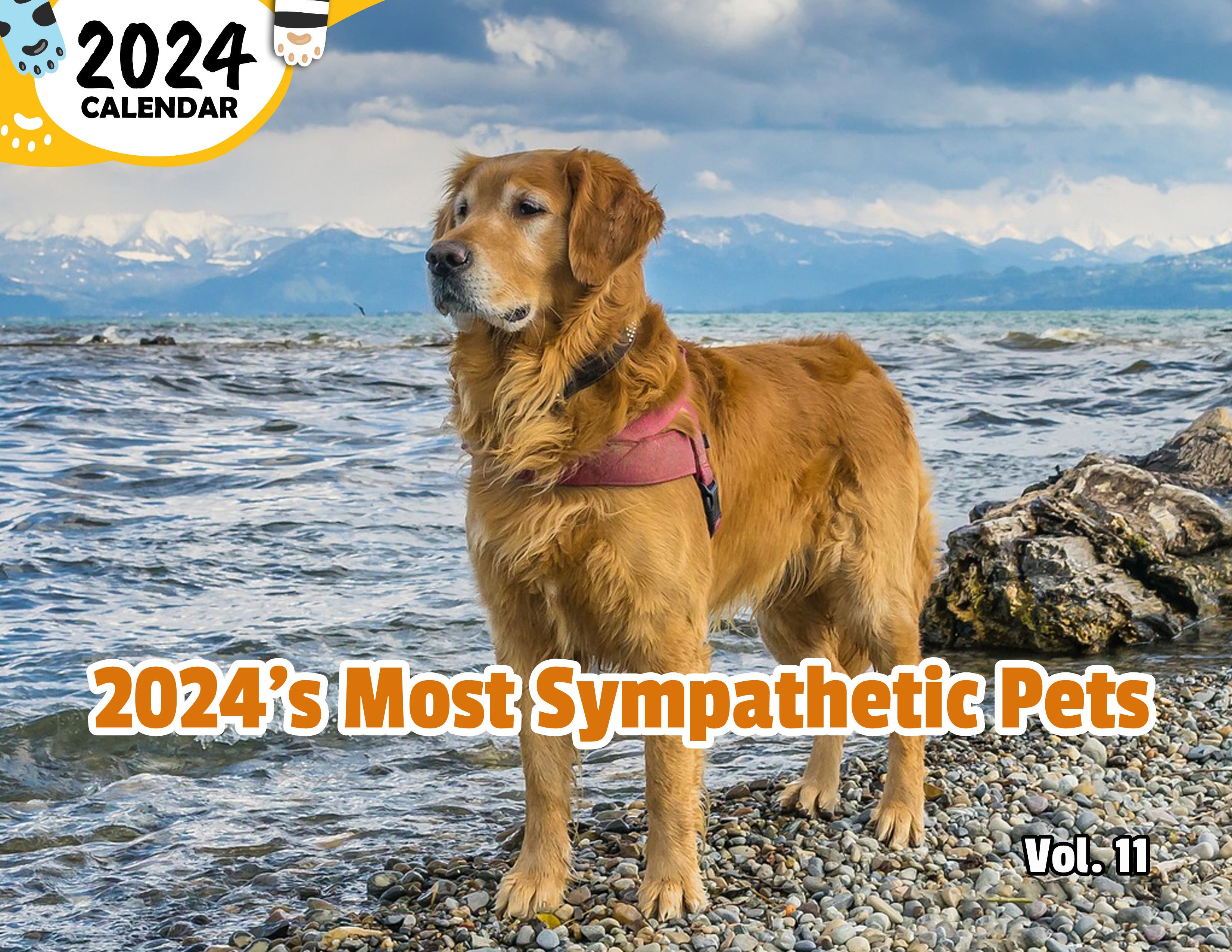 2024's Most Sympathetic Pets Volume Eleven: 2024 Wall Calendar (Published)