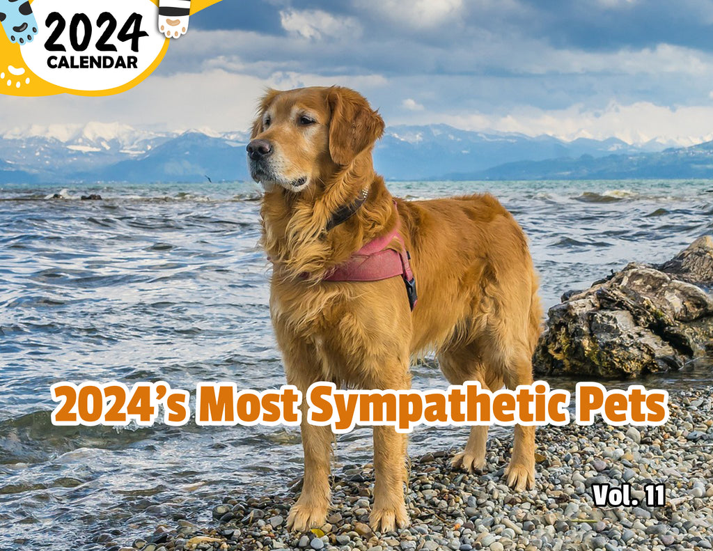 2024's Most Sympathetic Pets Volume Eleven: 2024 Wall Calendar (Published)