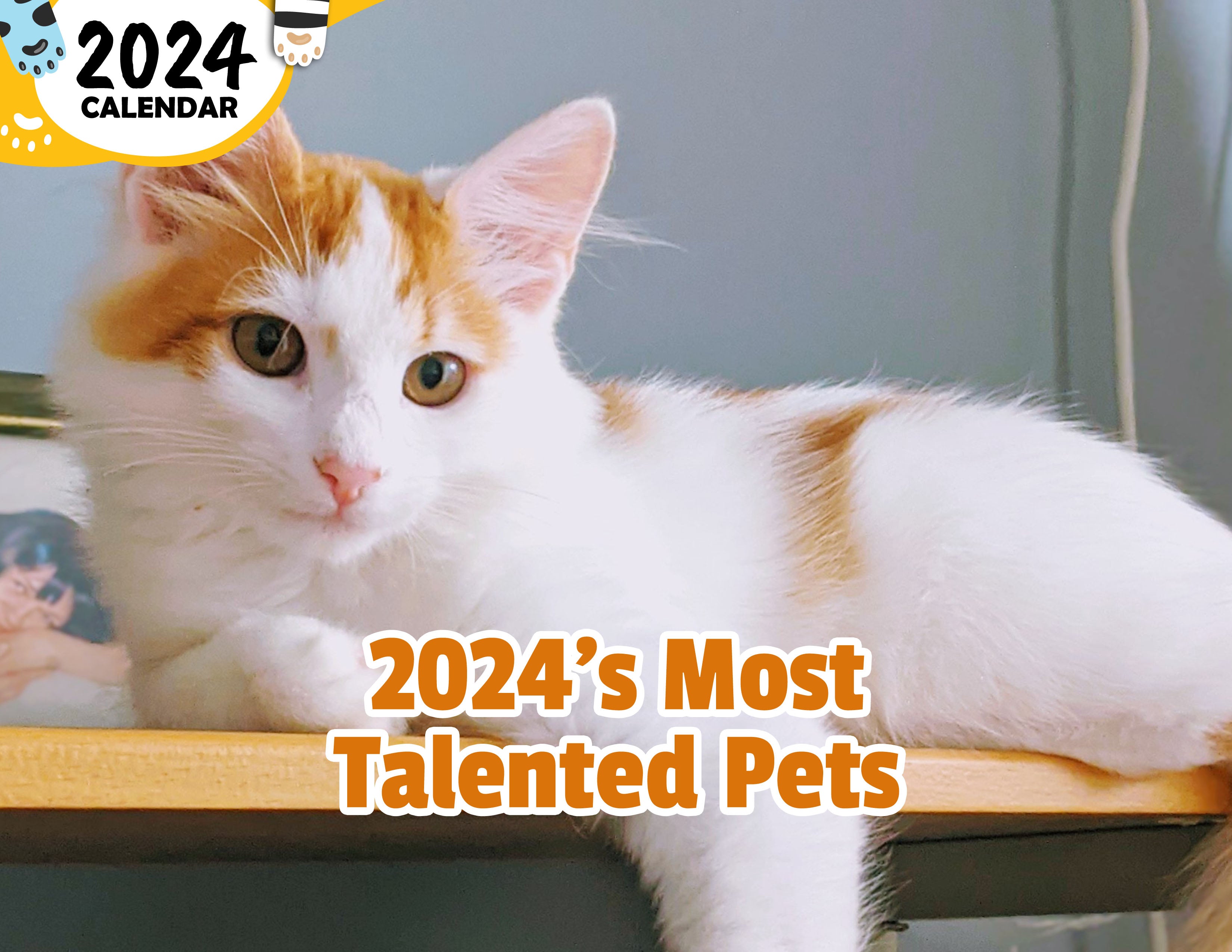 2024's Most Talented Pets: 2024 Wall Calendar (Published)