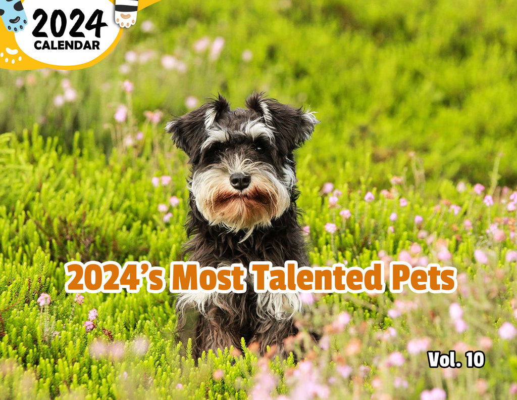 2024's Most Talented Pets Volume Ten: 2024 Wall Calendar (Published)