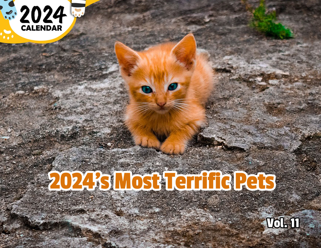 2024's Most Terrific Pets Volume Eleven: 2024 Wall Calendar (Published)
