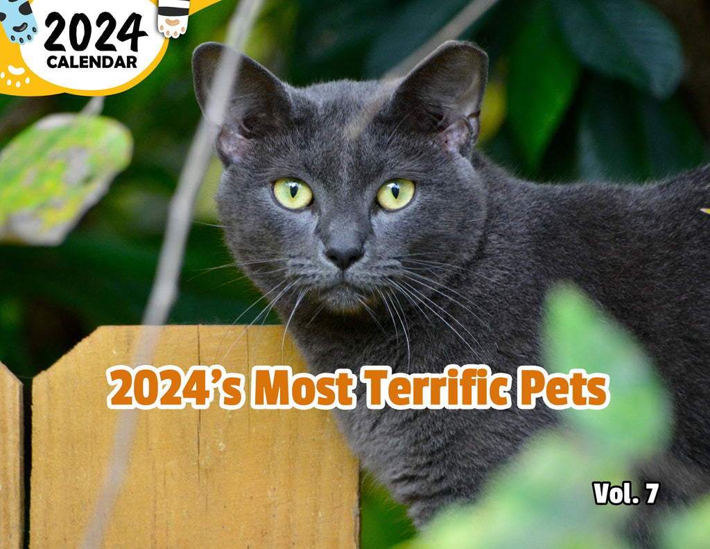 2024's Most Terrific Pets Volume Seven: 2024 Wall Calendar (Published)