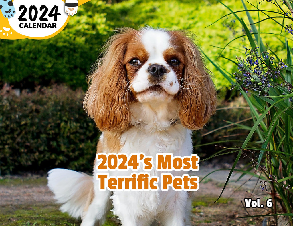 2024's Most Terrific Pets Volume Six: 2024 Wall Calendar (Published)