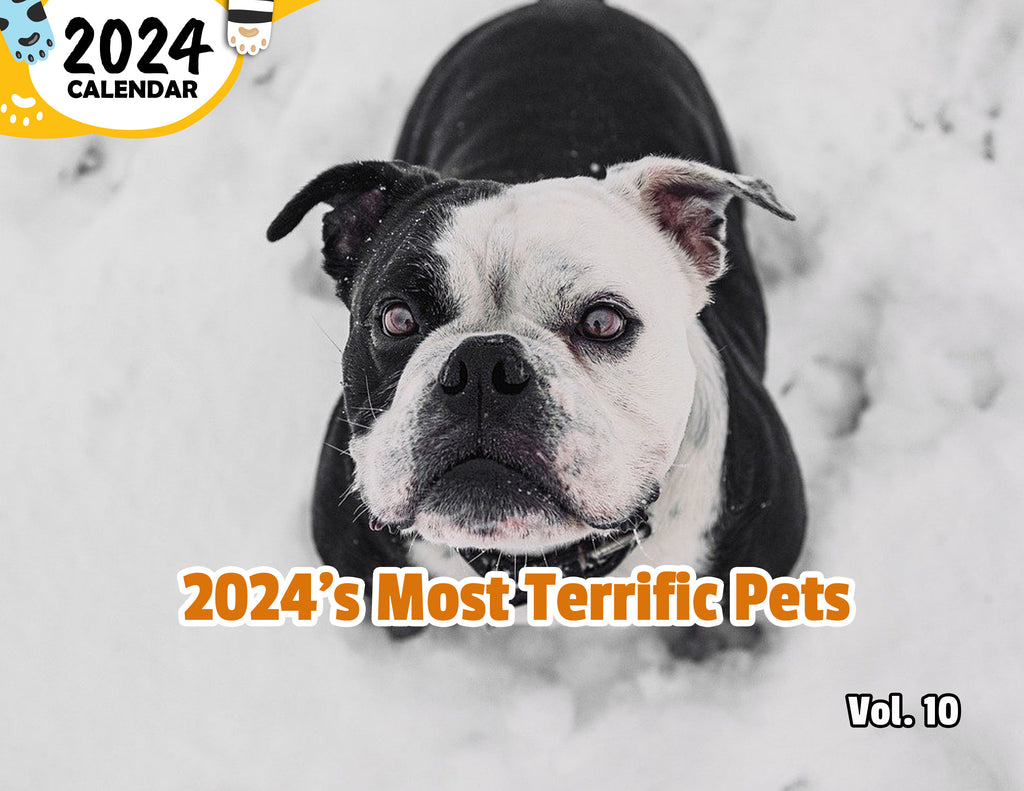 2024's Most Terrific Pets Volume Ten: 2024 Wall Calendar (Published)