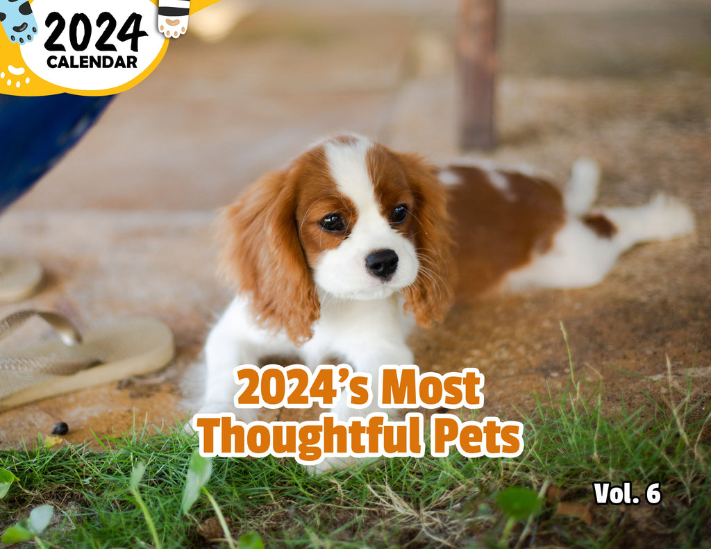 2024's Most Thoughtful Pets Volume Six: 2024 Wall Calendar (Published)