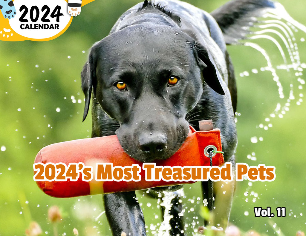 2024's Most Treasured Pets Volume Eleven: 2024 Wall Calendar (Published)