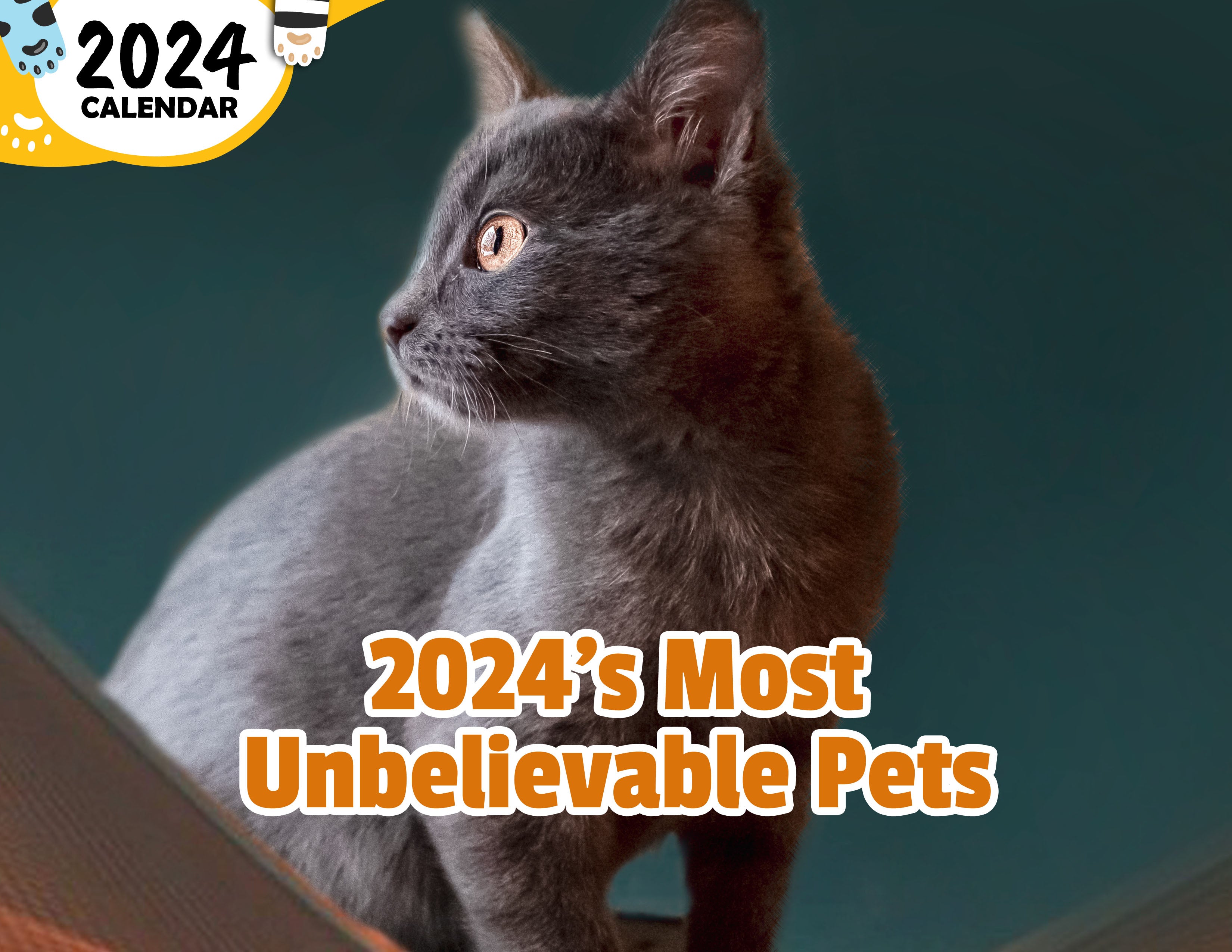 2024's Most Unbelievable Pets: 2024 Wall Calendar (Published)