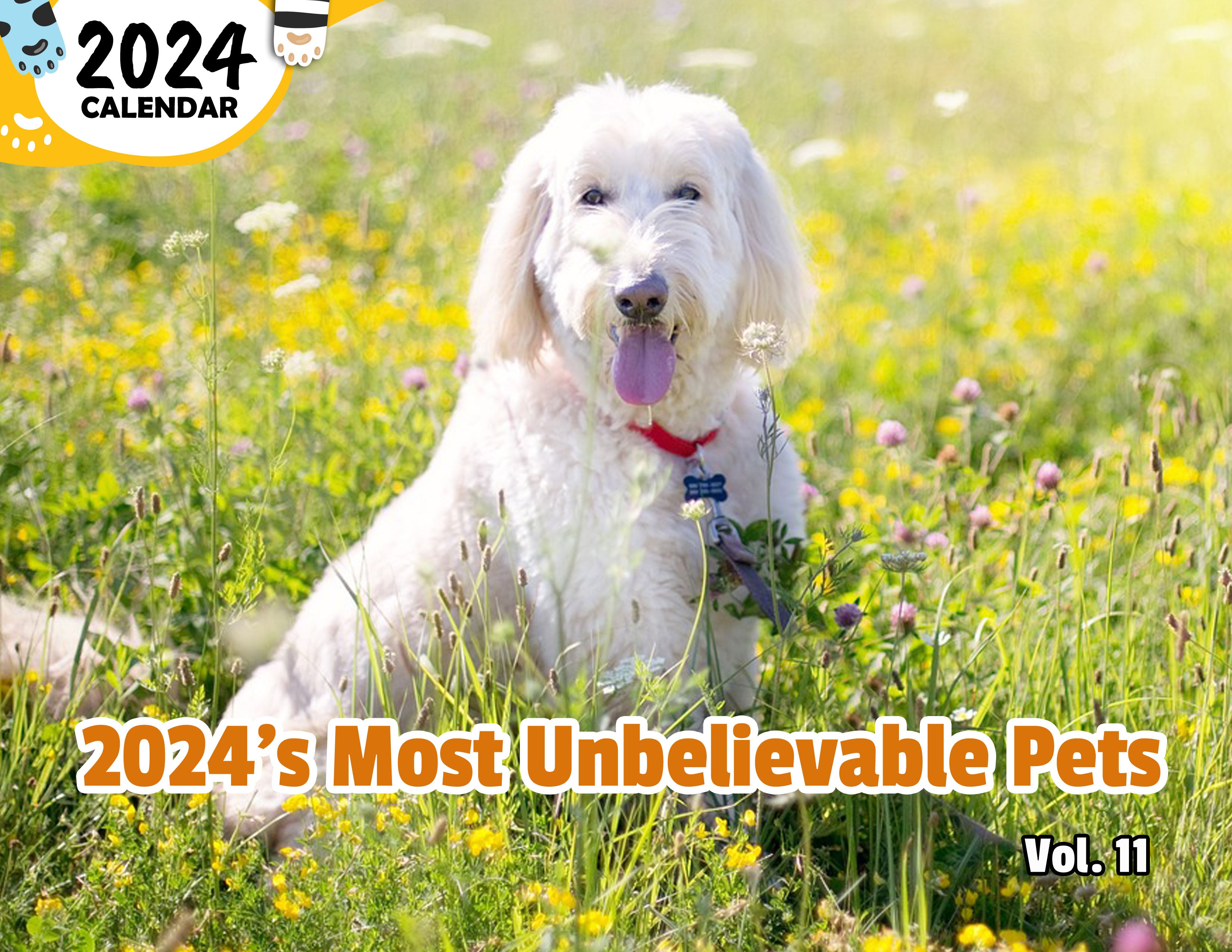 2024's Most Unbelievable Pets Volume Eleven: 2024 Wall Calendar (Published)