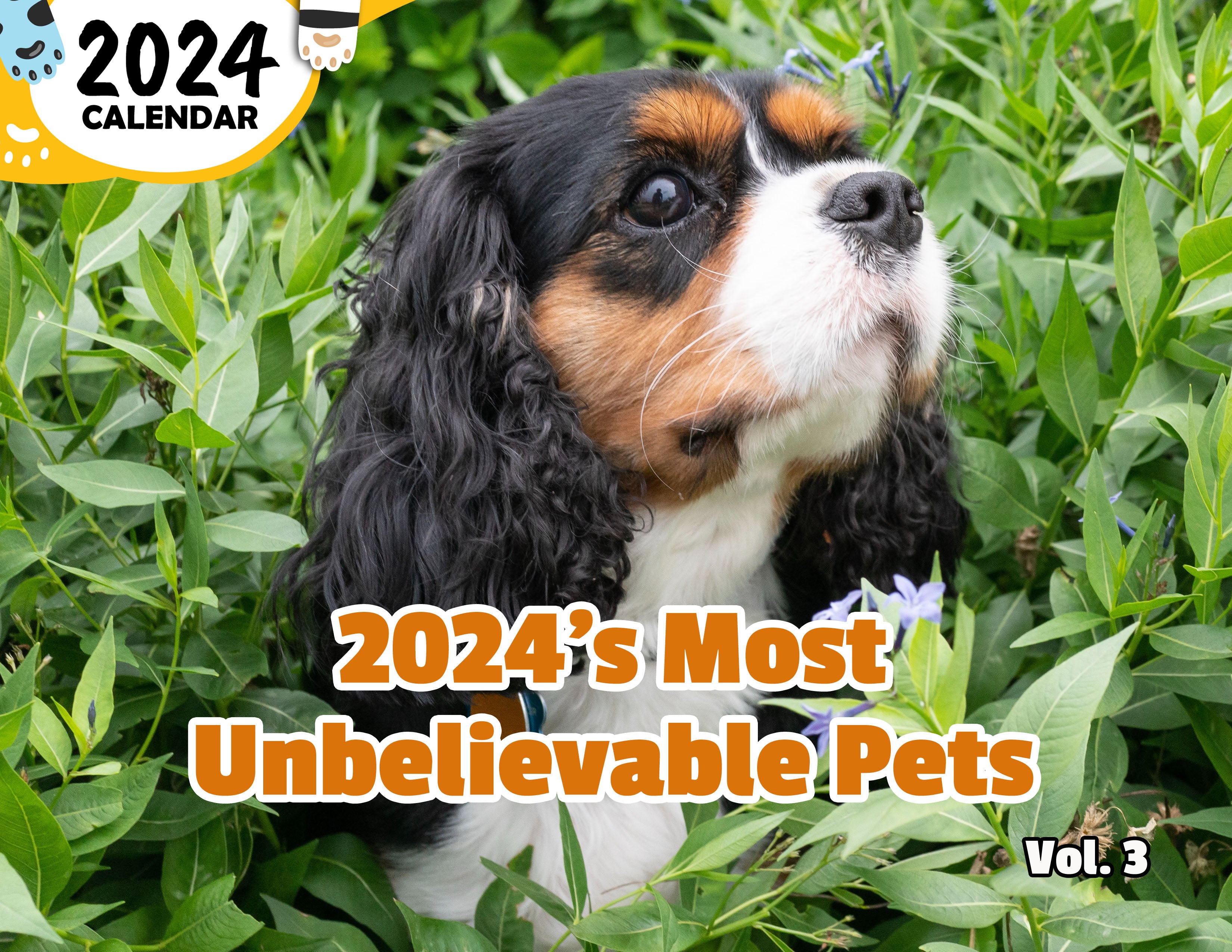 2024's Most Unbelievable Pets Volume Three: 2024 Wall Calendar (Published)