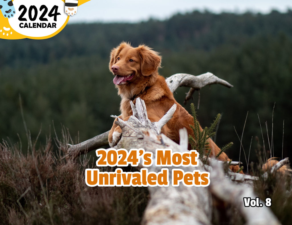 2024's Most Unrivaled Pets Volume Eight: 2024 Wall Calendar (Published)