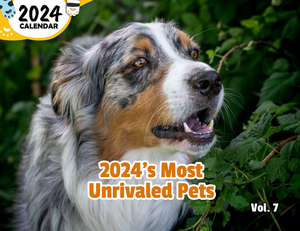 2024's Most Unrivaled Pets Volume Seven: 2024 Wall Calendar (Published)
