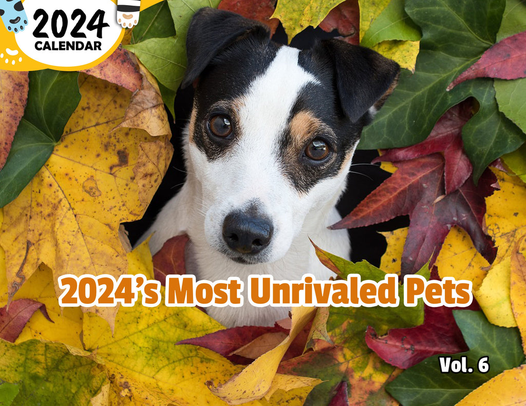 2024's Most Unrivaled Pets Volume Six: 2024 Wall Calendar (Published)