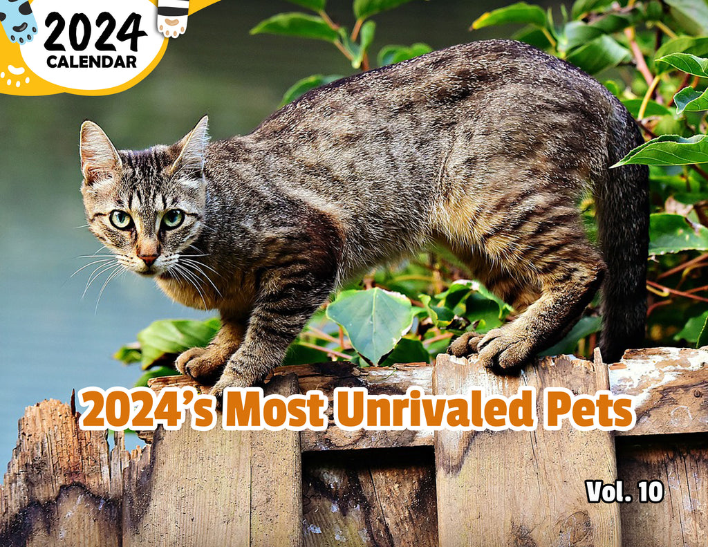 2024's Most Unrivaled Pets Volume Ten: 2024 Wall Calendar (Pre-Order)