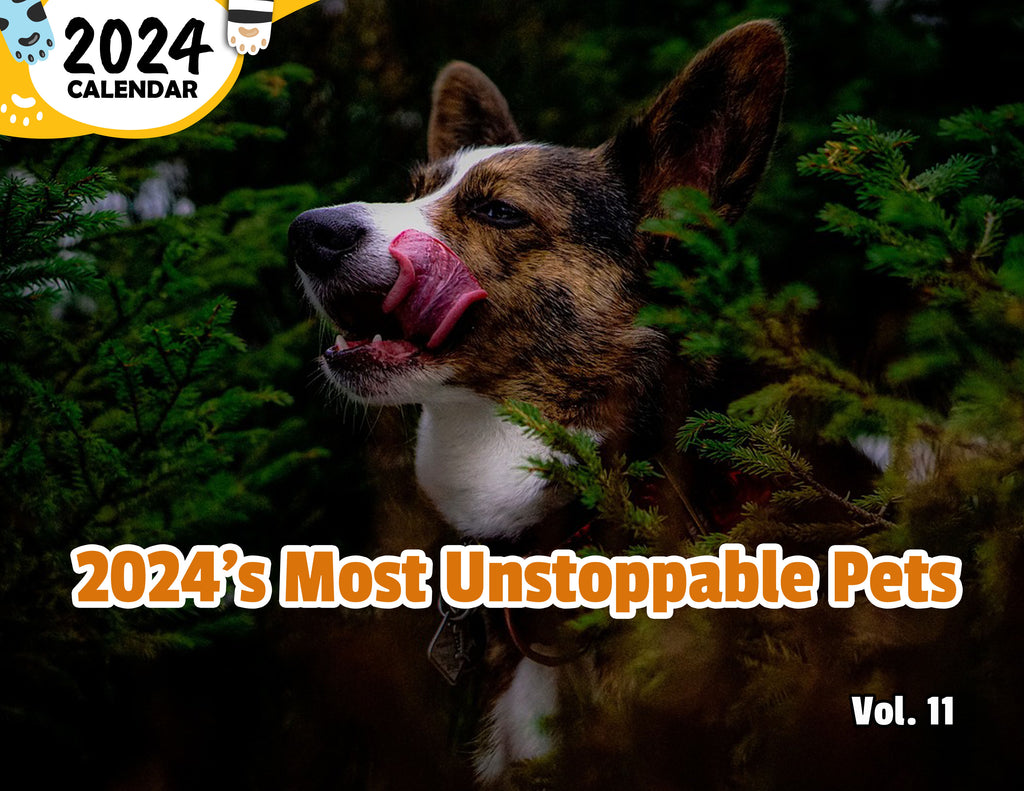 2024's Most Unstoppable Pets Volume Eleven: 2024 Wall Calendar (Published)