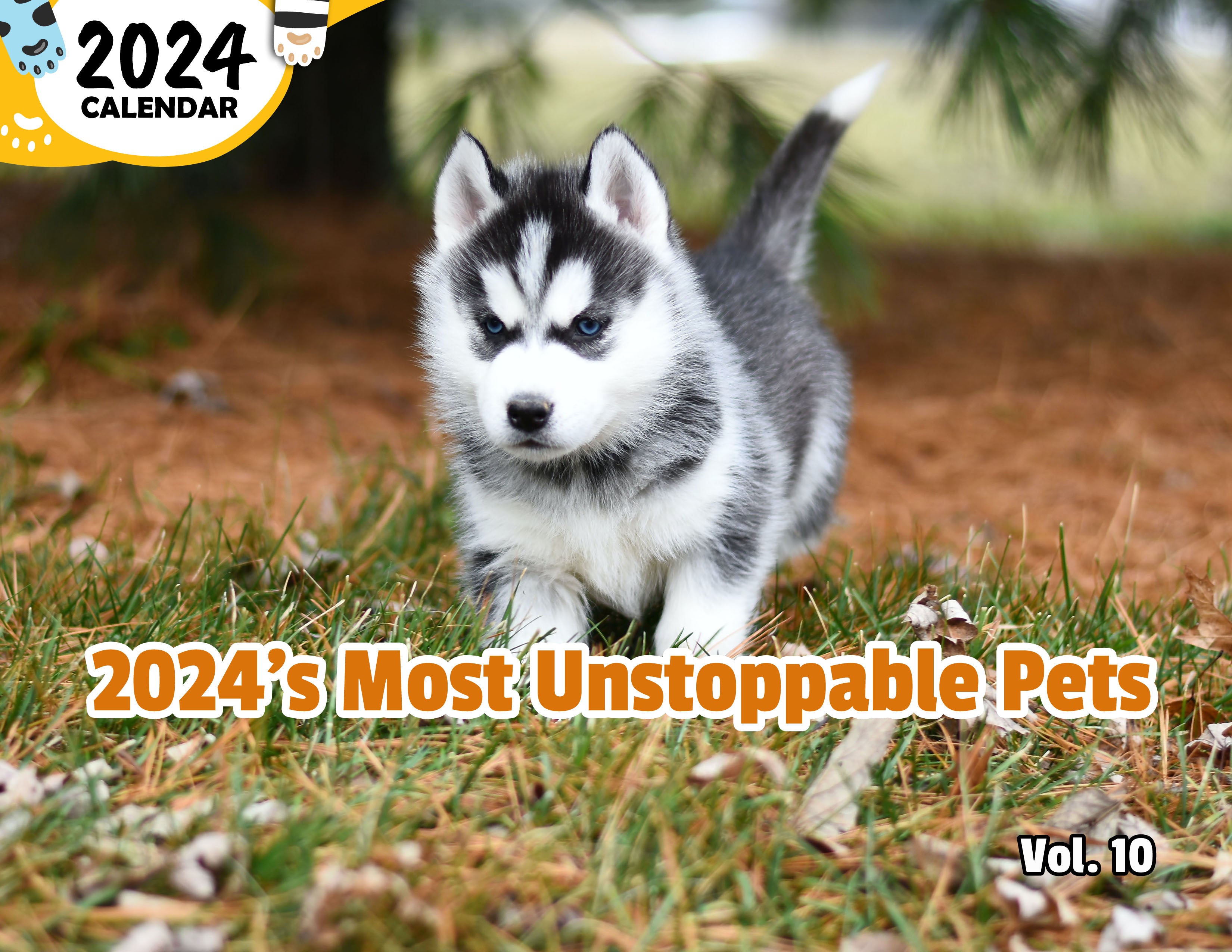 2024's Most Unstoppable Pets Volume Ten: 2024 Wall Calendar (Published)