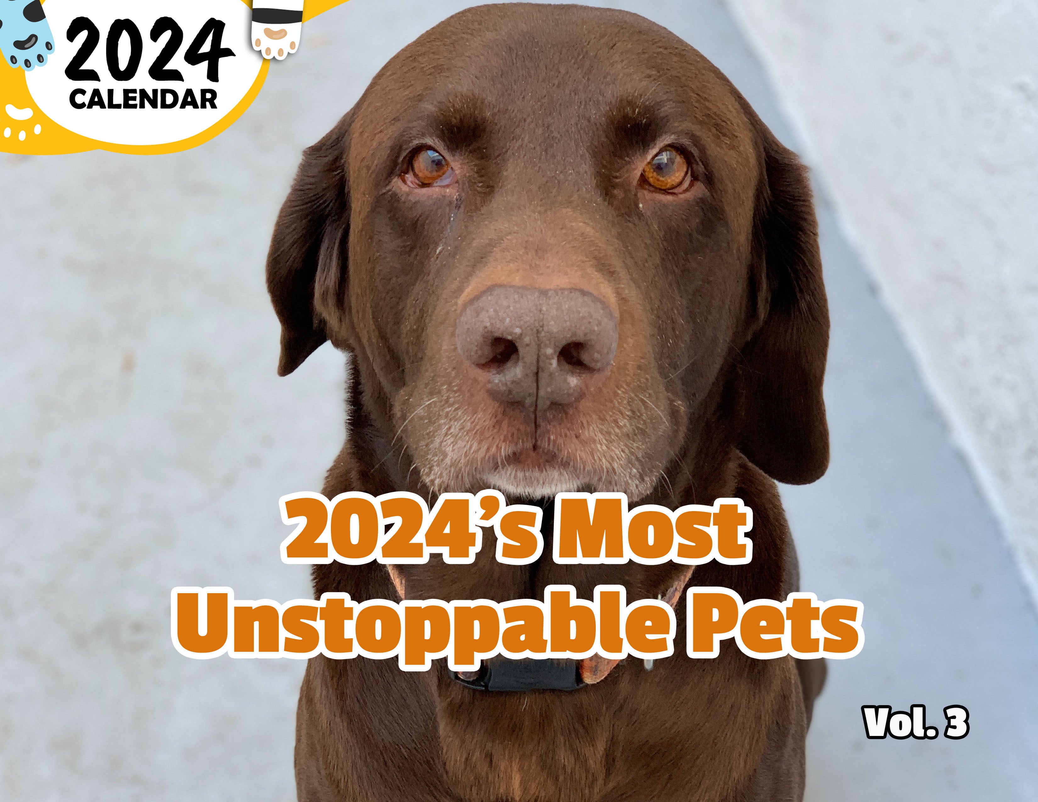 2024's Most Unstoppable Pets Volume Three: 2024 Wall Calendar (Published)