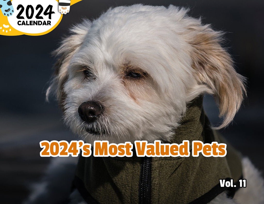 2024's Most Valued Pets Volume Eleven: 2024 Wall Calendar (Pre-Order)