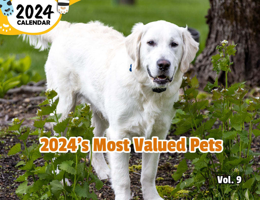 2024's Most Valued Pets Volume Nine: 2024 Wall Calendar (Published)