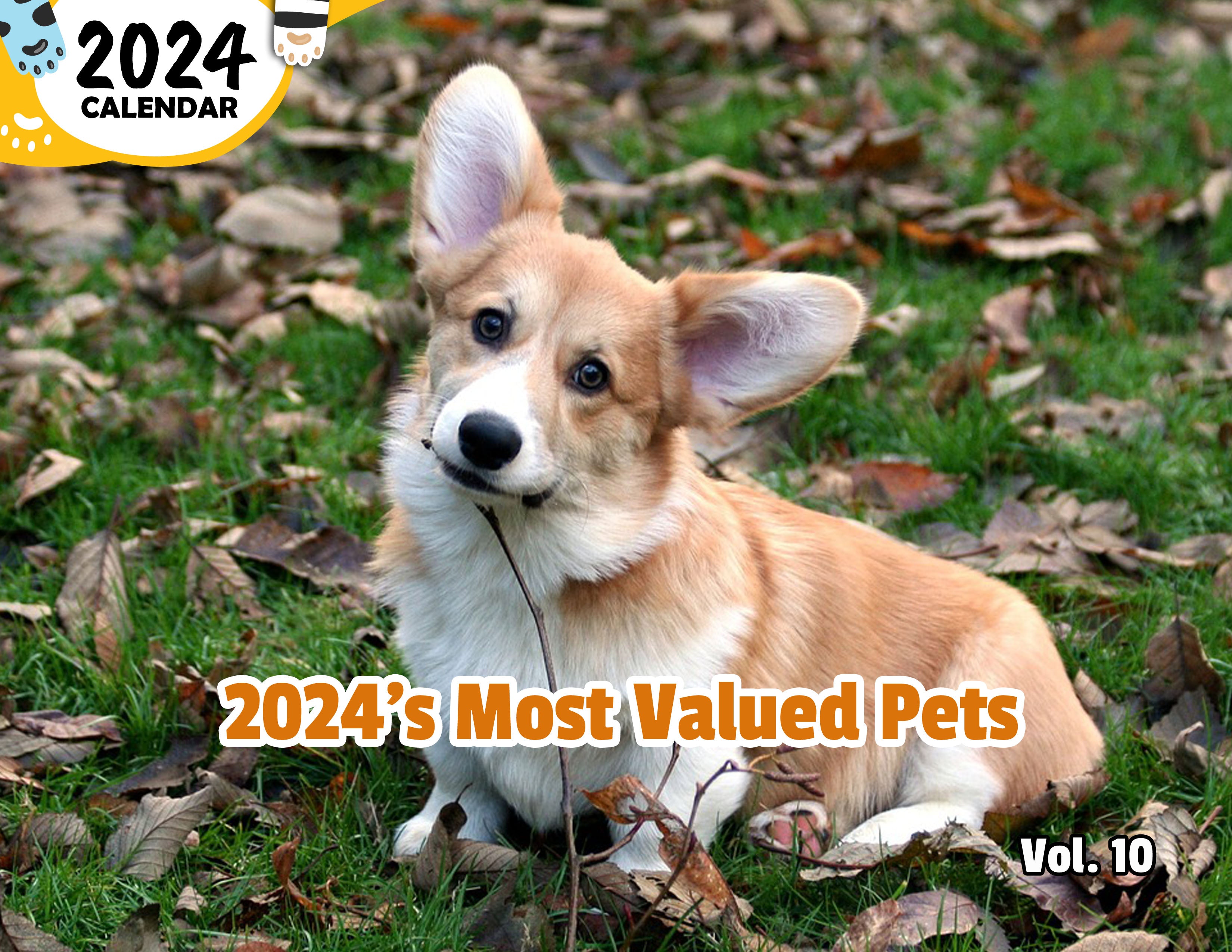 2024's Most Valued Pets Volume Ten: 2024 Wall Calendar (Published)