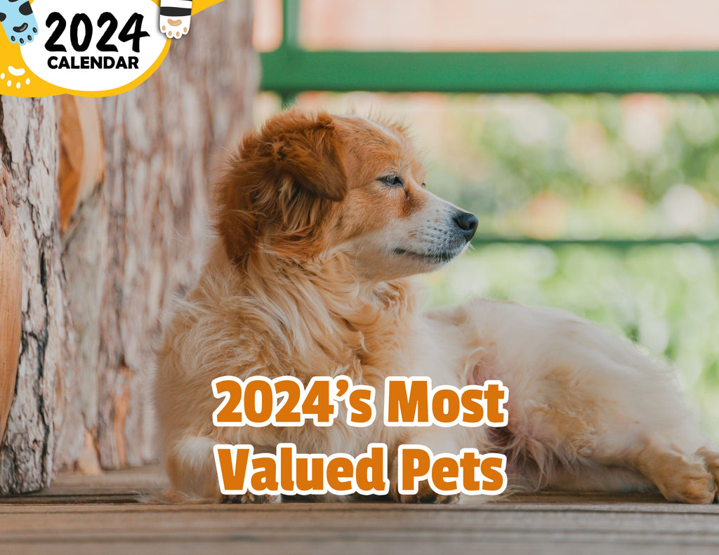 2024's Most Valued Pets: 2024 Wall Calendar (Published)