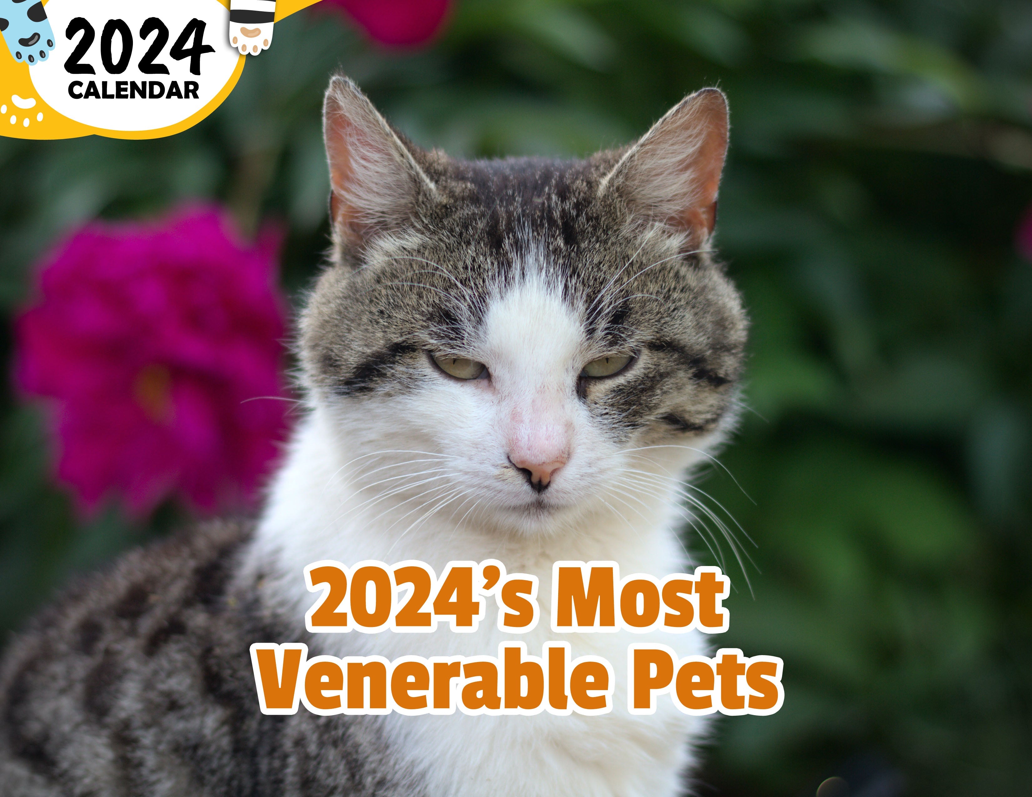 2024's Most Venerable Pets: 2024 Wall Calendar (Published)