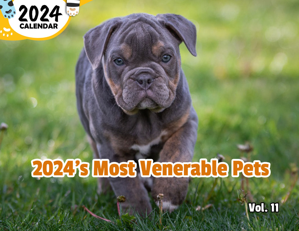 2024's Most Venerable Pets Volume Eleven: 2024 Wall Calendar (Published)
