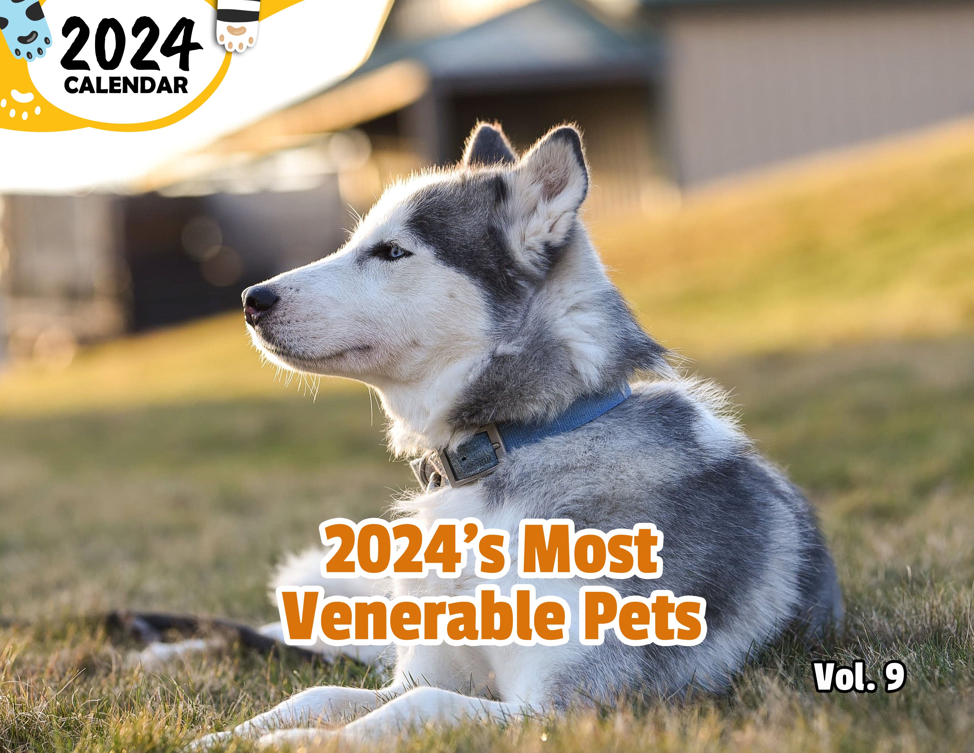 2024's Most Venerable Pets Volume Nine: 2024 Wall Calendar (Published)