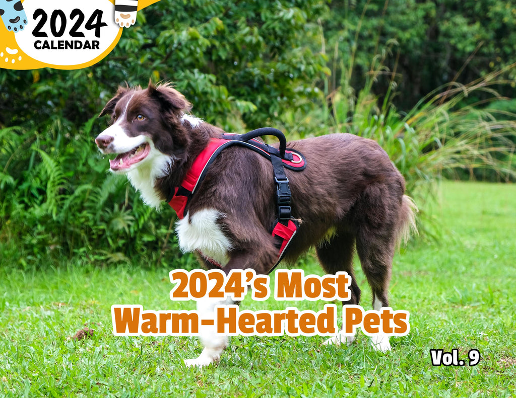 2024's Most Warm-Hearted Pets Volume Nine: 2024 Wall Calendar (Published)
