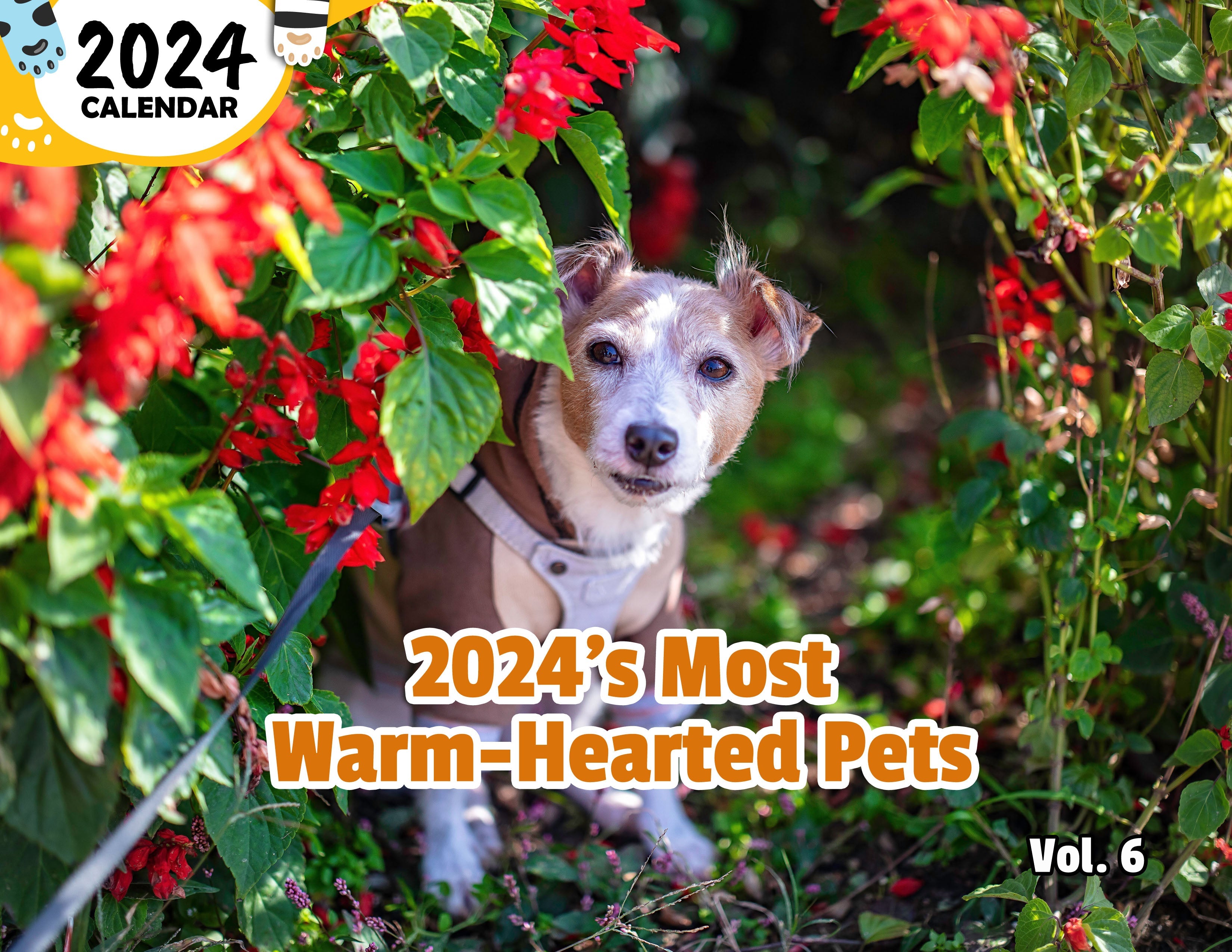 2024's Most Warm-Hearted Pets Volume Six: 2024 Wall Calendar (Published)