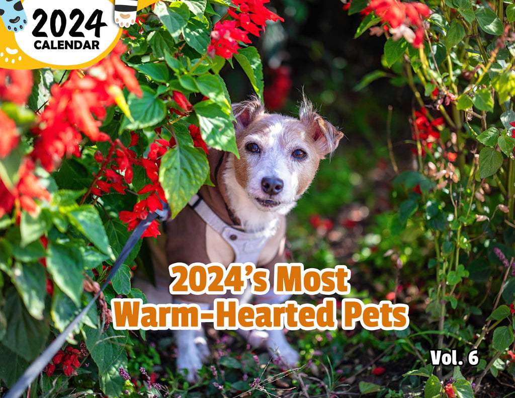2024's Most Warm-Hearted Pets Volume Six: 2024 Wall Calendar (Published)