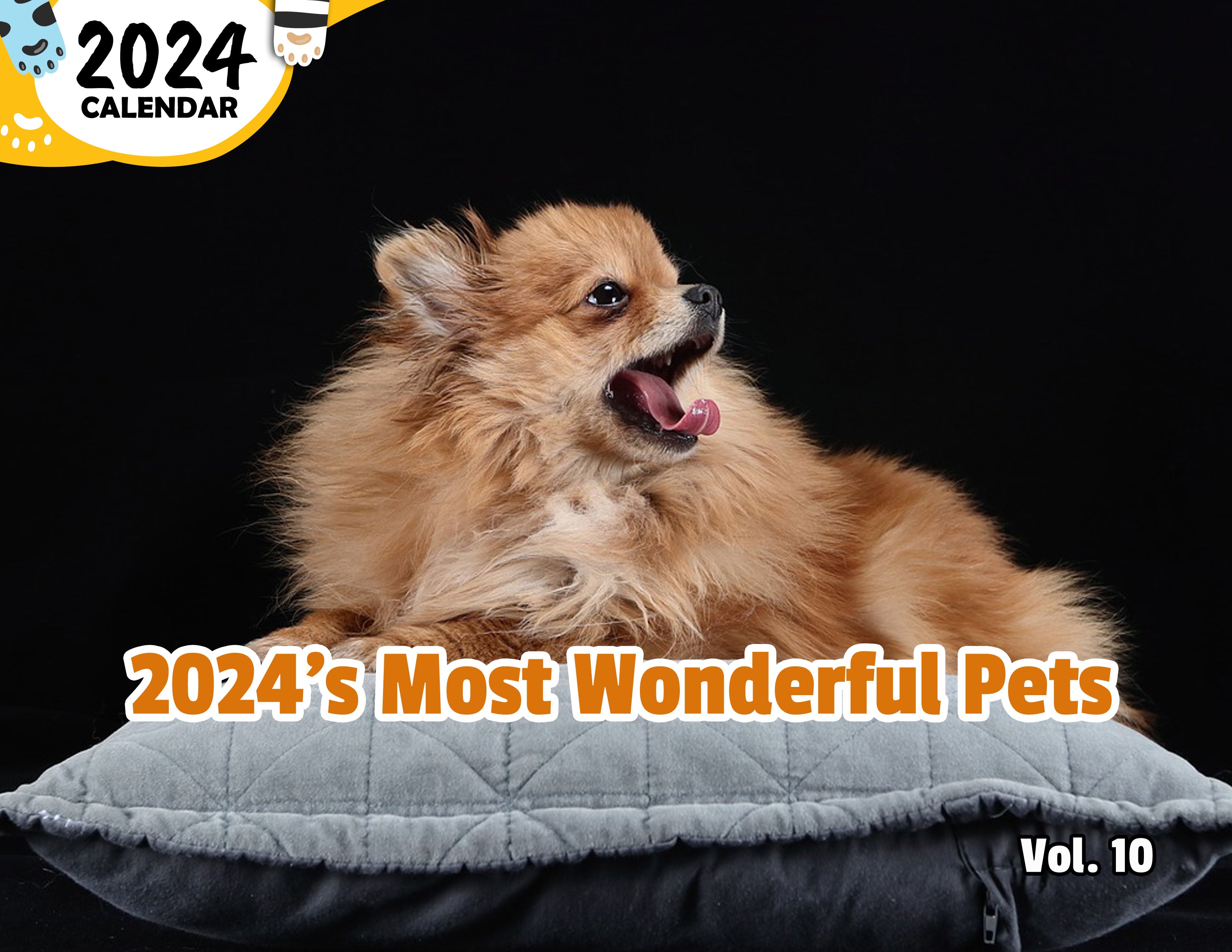 2024's Most Wonderful Pets Volume Ten: 2024 Wall Calendar (Published)