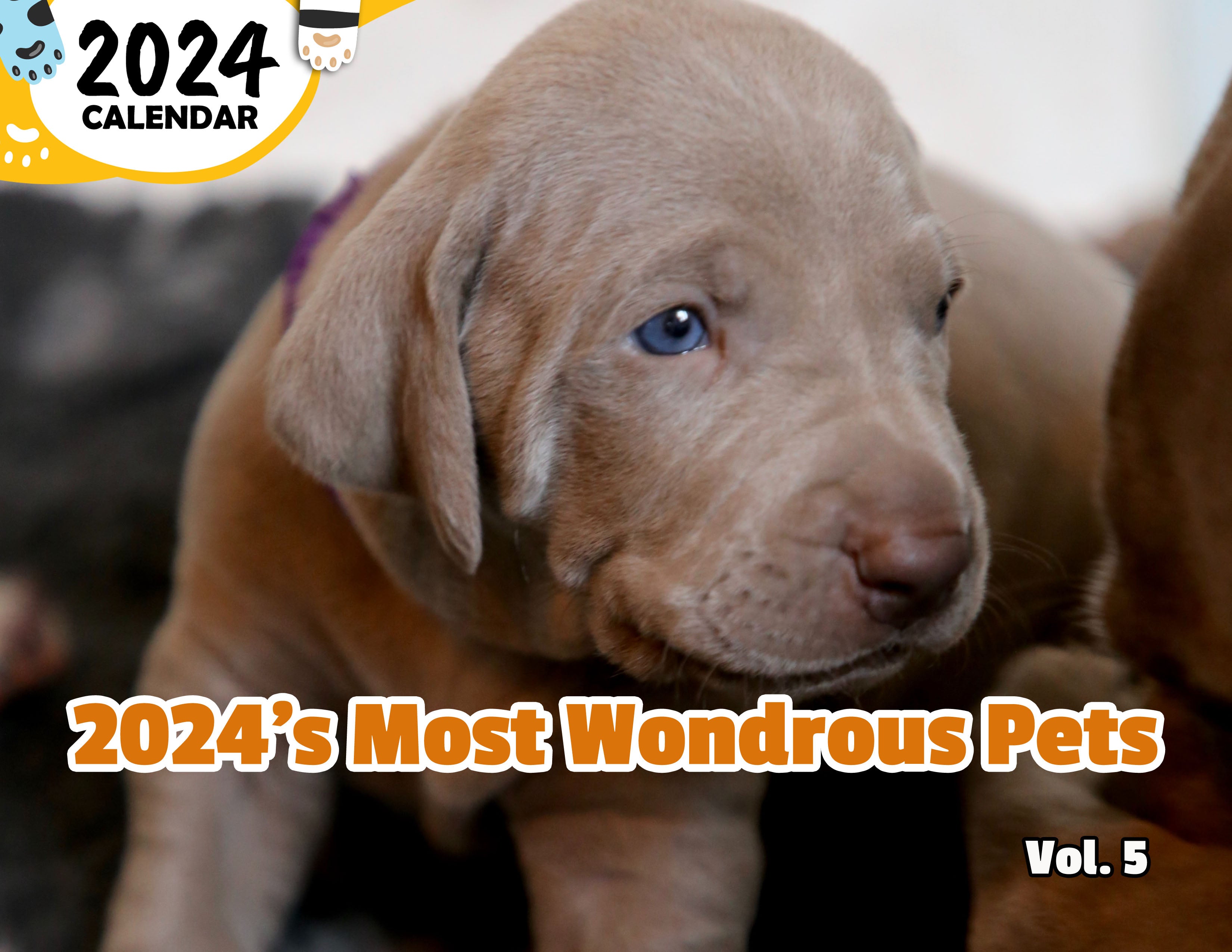 2024's Most Wondrous Pets Volume Five: 2024 Wall Calendar (Published)