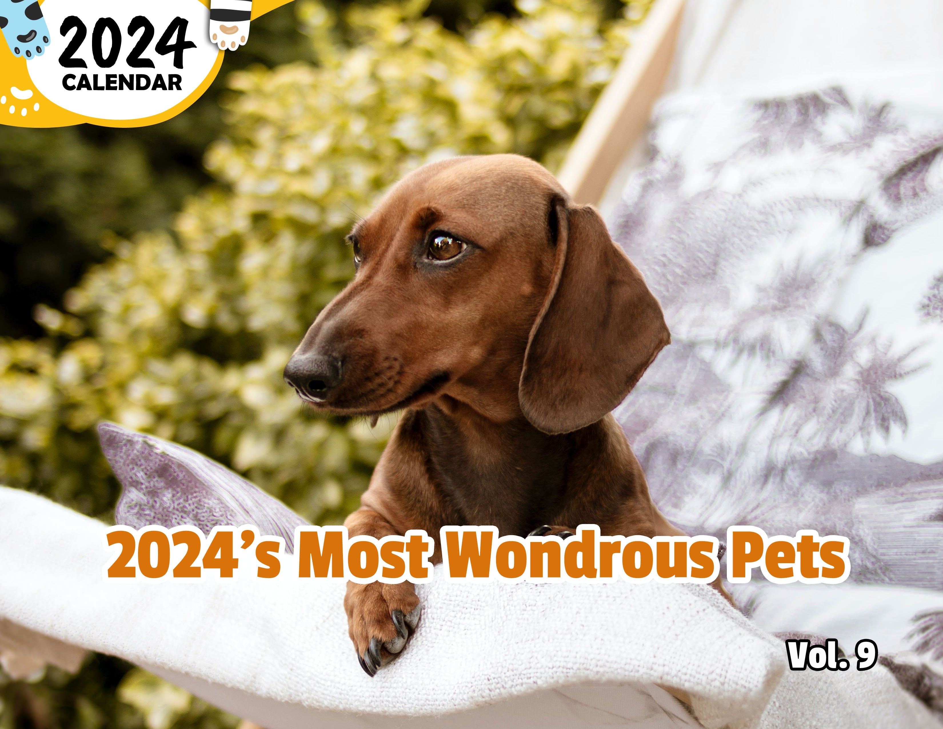 2024's Most Wondrous Pets Volume Nine: 2024 Wall Calendar (Published)
