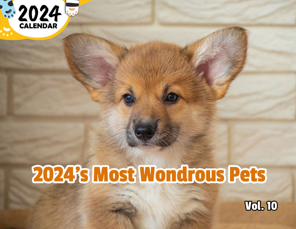 2024's Most Wondrous Pets Volume Ten: 2024 Wall Calendar (Published)