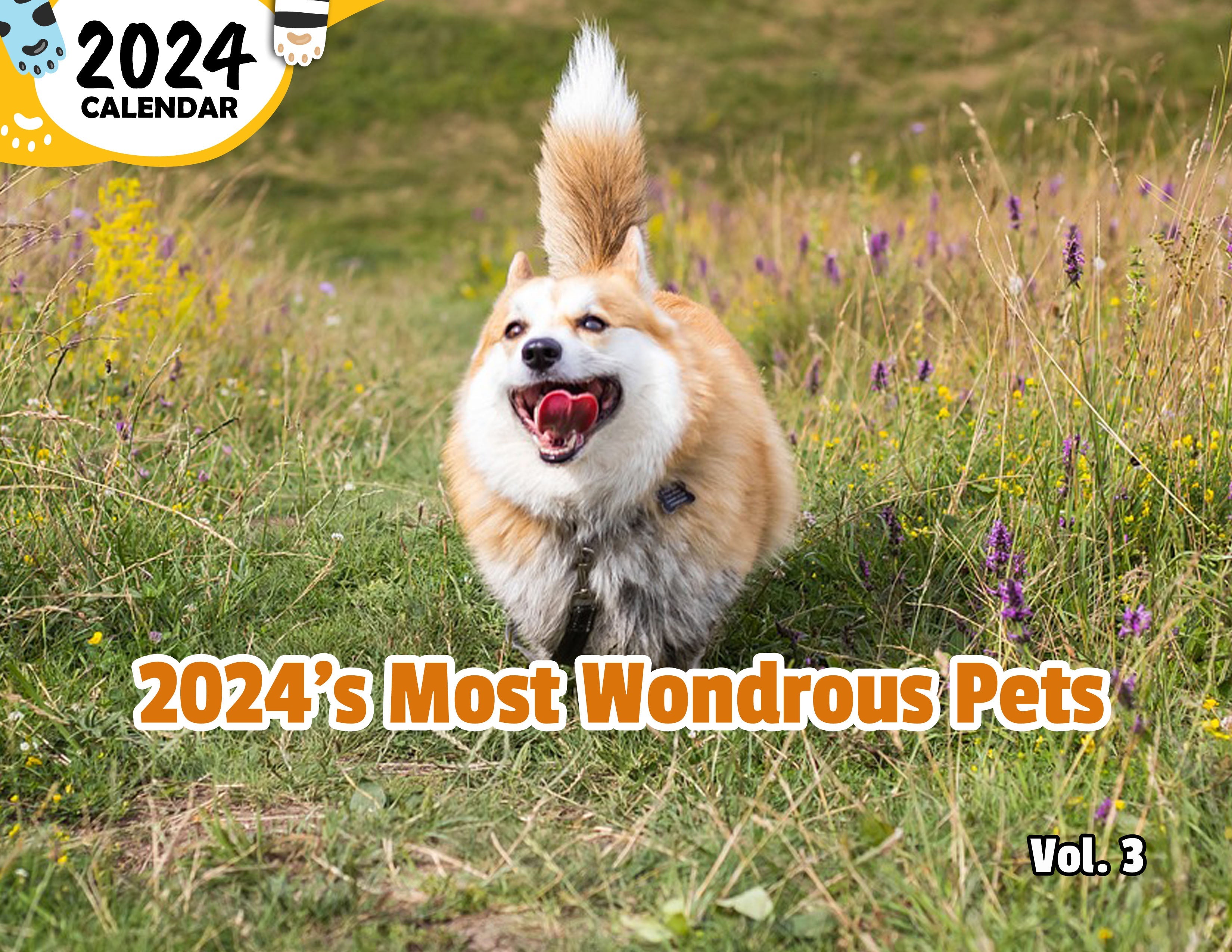 2024's Most Wondrous Pets Volume Three: 2024 Wall Calendar (Published)