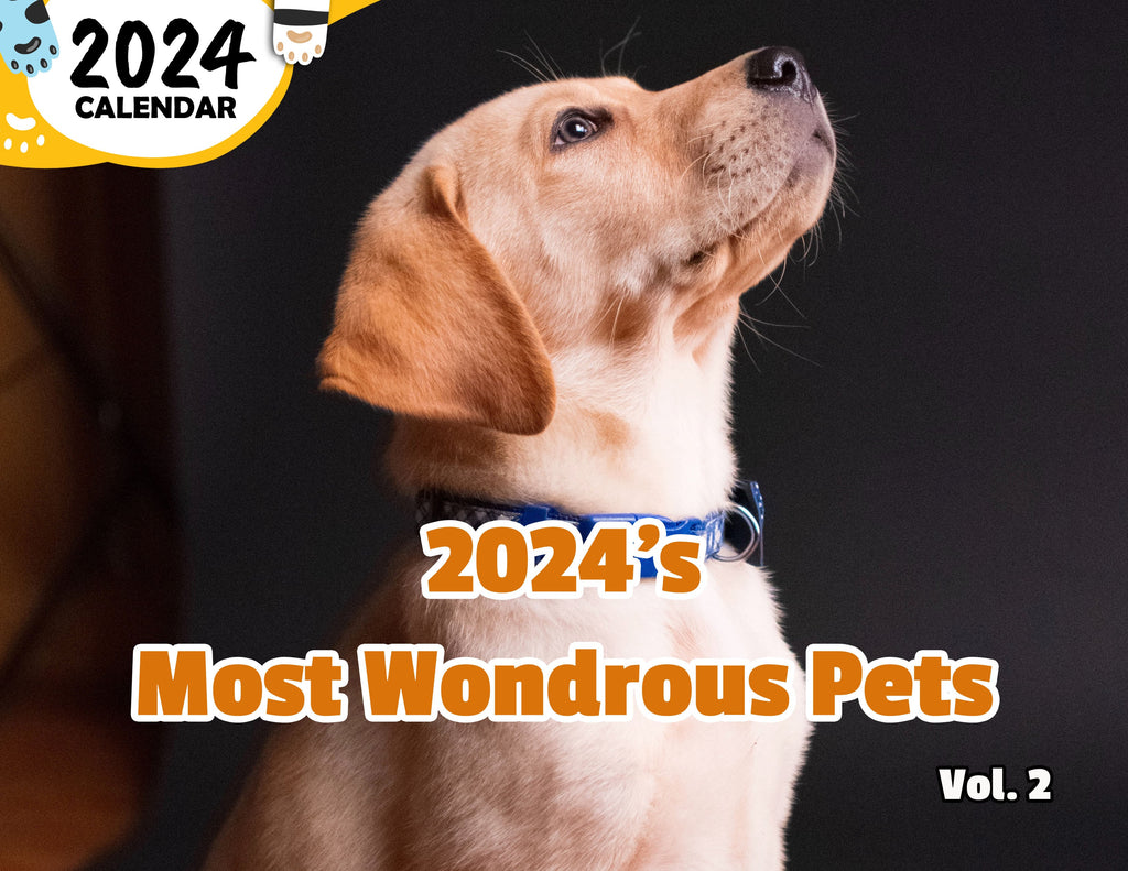 2024's Most Wondrous Pets Volume Two: 2024 Wall Calendar (Published)